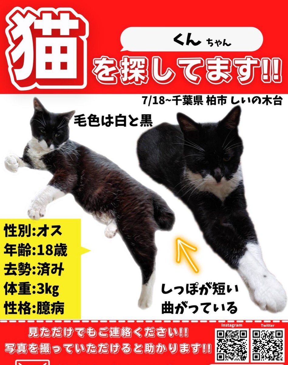 WVElR6RbLXNdUzr's tweet photo. #千葉県柏市　#しいの木台　#逆井
#迷子猫　#黒白猫
🐱クンちゃんを探してます📣
・逸走日　2023年7月18日
・黒白タキシード猫
・高齢猫
・4足白靴下
・尻尾短くフンワリ曲がってる

些細なことでも構いません
DMにて情報お待ちしてます🙇 https://t.co/kj6iLVhn5I