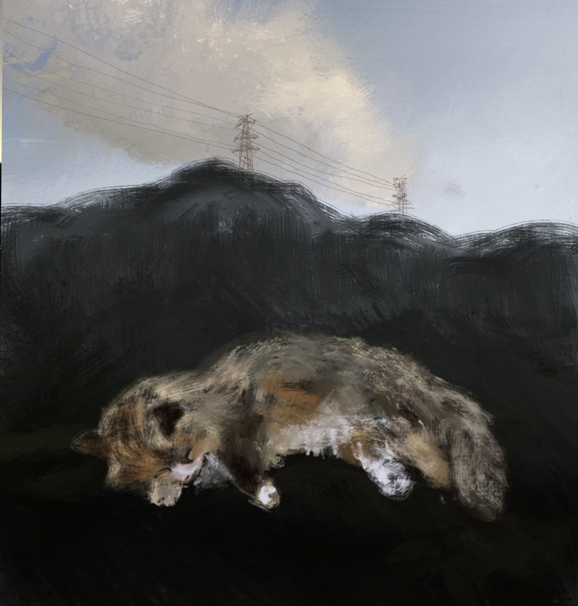 torinobijutubu's tweet photo. おやすみねこ

#絵 https://t.co/Yu3Pncinqm
