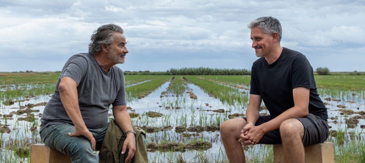 CREASGR's tweet photo. 🎬 En rodaje #LoVent, la nueva película de Marcel Barrena (#El47) protagonizada por Eduard Fernández en la que participamos.
Una historia sobre las raíces, el legado y la lucha por preservar la tierra.
#CineEspañol #Financiación #CREASGR #rodajes #CREAesCINE https://t.co/MHZ2Vleadi