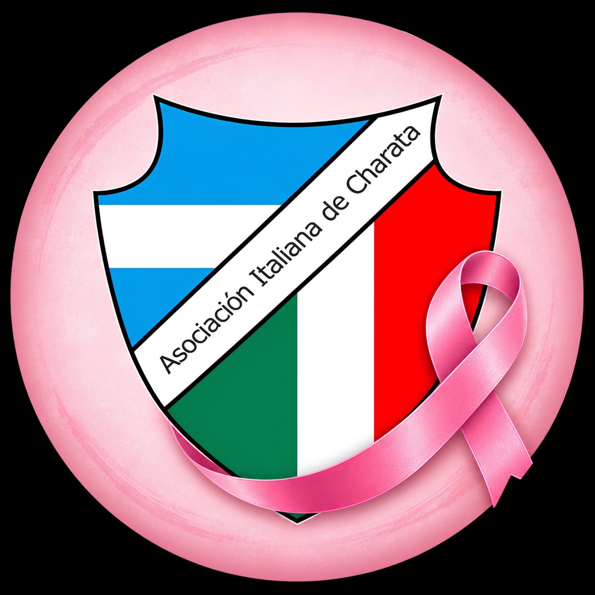AsocItalianaCh's tweet photo. Inicia el mes Modo Rosa en Asociación Italiana. https://t.co/Hp68l6yTQO