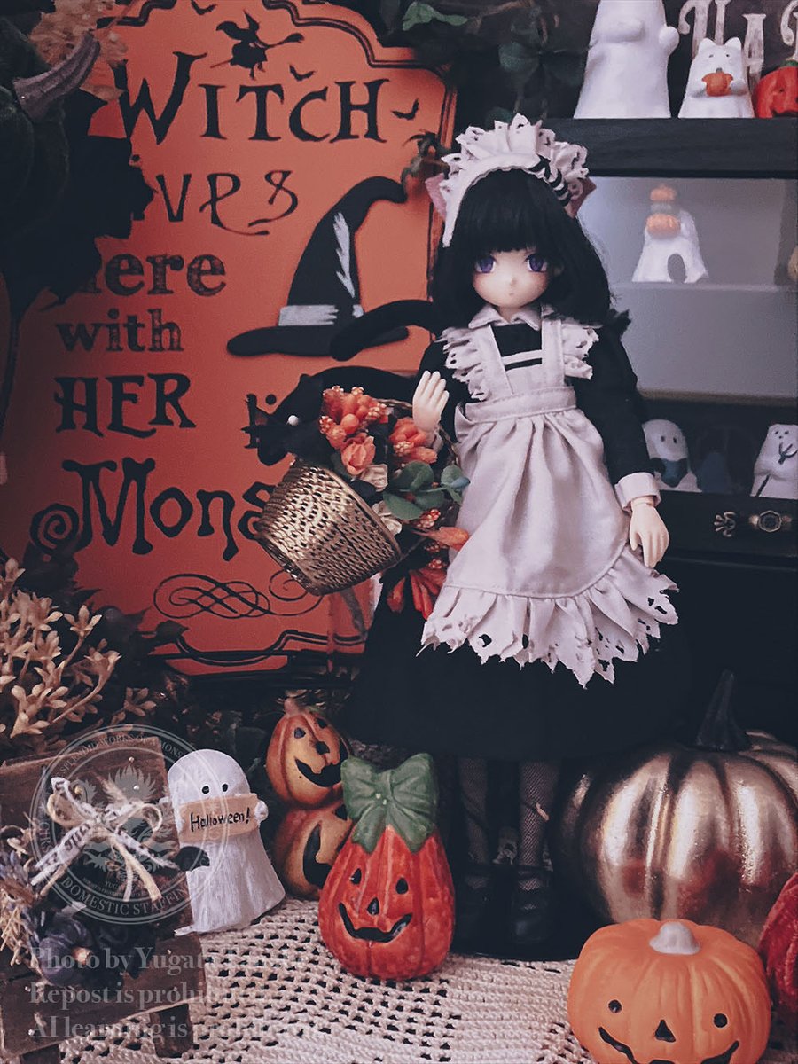 yugata_tanabe's tweet photo. 🎃Halloween is coming🎃 https://t.co/8WonbPJJu4