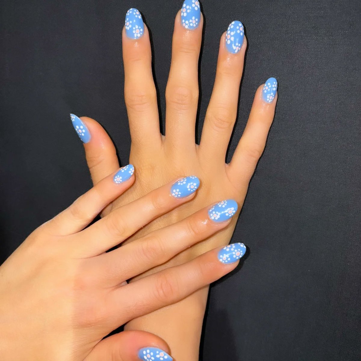 ForteVF's tweet photo. Acrigel look. Soft sky blue, daisies, and sweet vibes. Simple, elegant, perfect. https://t.co/LNdYmxcvdr