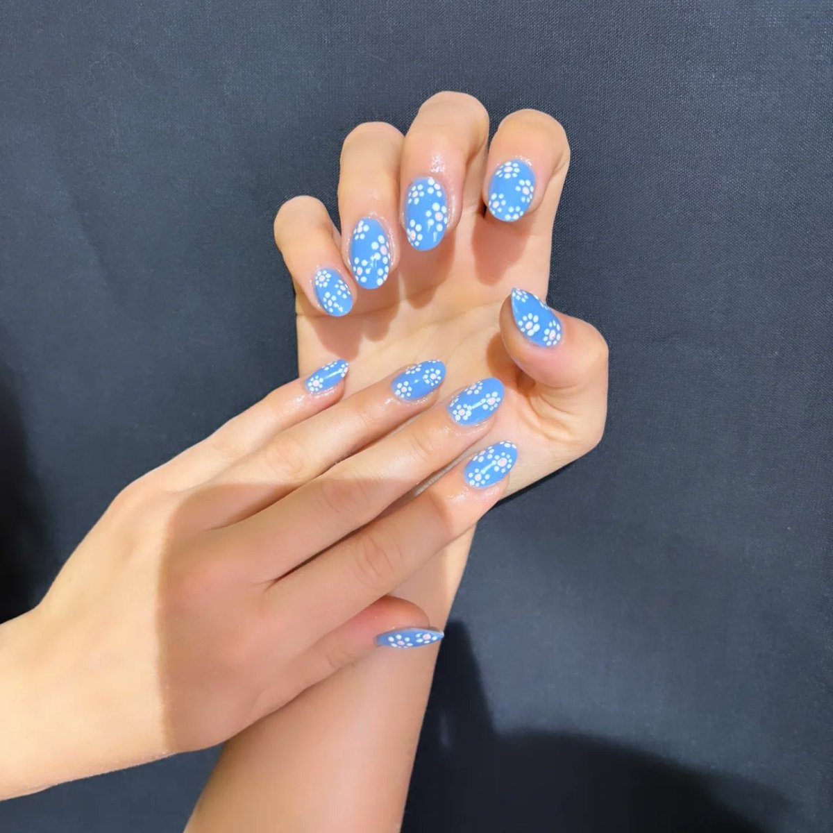 ForteVF's tweet photo. Acrigel look. Soft sky blue, daisies, and sweet vibes. Simple, elegant, perfect. https://t.co/LNdYmxcvdr
