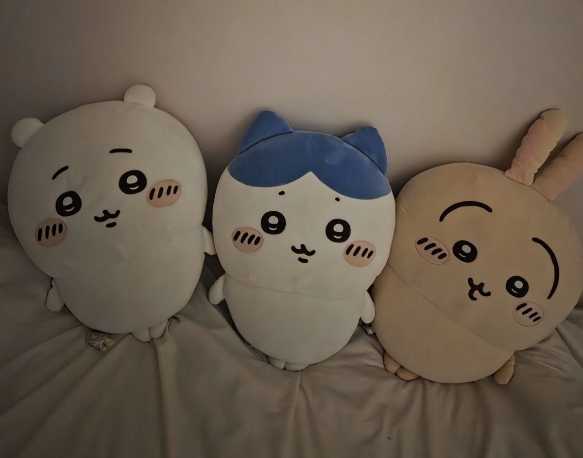 himydear_0024's tweet photo. 여자들이 부러워하는 여자 대왕 햄냥토 있는 여자 https://t.co/KeE9AdNNez