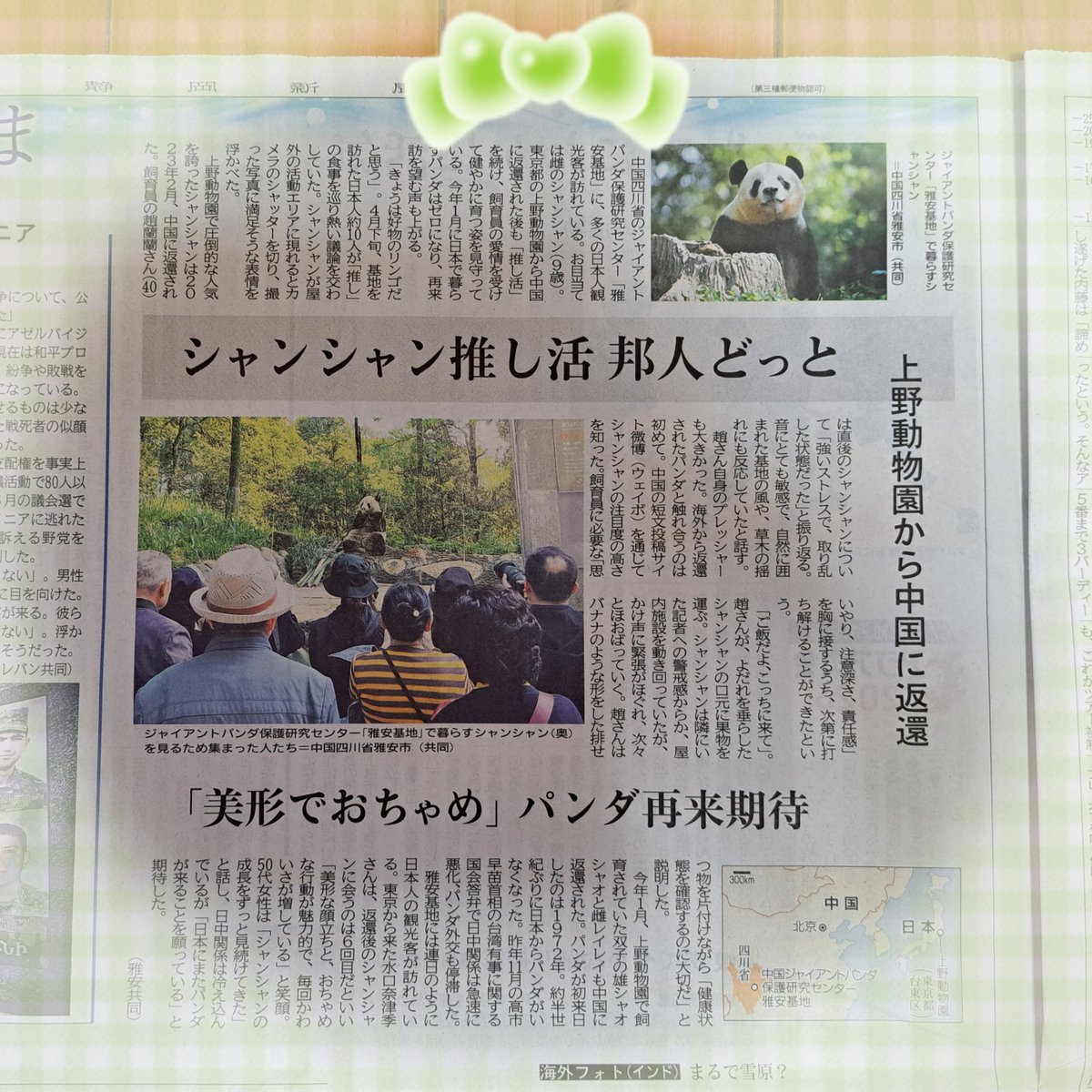 miffffy0720star's tweet photo. 昨日の静岡新聞に、シャオ君とレイちゃんの一般公開のニュース載ってました📰✨️
シャンシャンのニュースもあったし、パンダ激推しさんが記事書いたのかな✏️🎶
＃静岡新聞 📰
＃ジャイアントパンダ🐼
＃シャオシャオ💚
＃レイレイ💛
＃シャオレイ
＃シャンシャン🍎
＃一般公開
＃中国 https://t.co/qGls8qqQVN