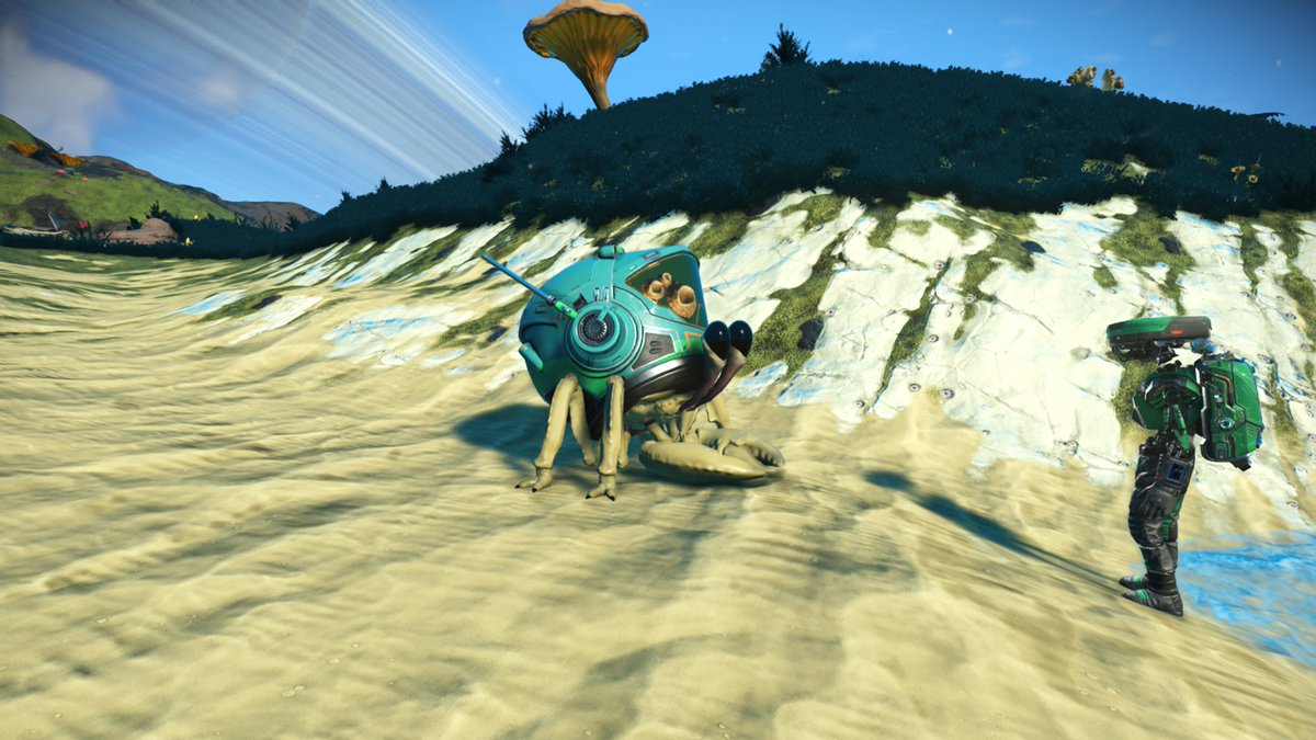 Tama_NMS's tweet photo. Not sure how rare this little guy is, but it’s the first time I’ve encountered one in my 880 hours of exploration. 🦀🪖

An hermit crab using a traveler's helmet as a shell. Absolutely mind-blowing procedural physics! 🤯✨

#NoMansSky  #ノーマンズスカイ https://t.co/Q8r88ChYjL