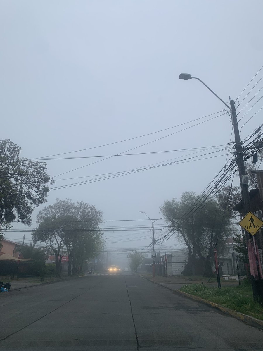 NinaGonzlezF's tweet photo. Buendía camaradas!!! Mi comarca condensada y fría, según el lengua mocha d Quiroz nadie usa parafina xq ya hace calor😤Hay gente q regaló su vida para darnos una gran patria y otros regalan la patria para darse una gran vida. #RenunciaKast #Marichiweu https://t.co/EaDqLhRzvr