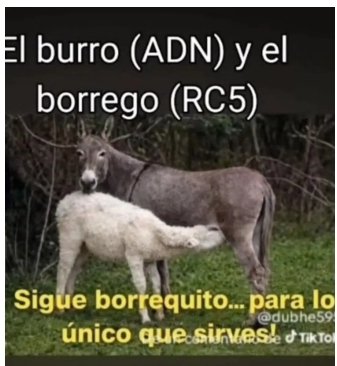 FCarlosM09's tweet photo. @MashiRafael Vergüenza es E ser un askeroso dictador, apoderarse d una nación, adoctrinar a pendejos, q luego c convierten en una manada d borregos sin decisiones, prohibido olvidar ladron HP, narcotraficante, asesino https://t.co/IfB5X2KfHr