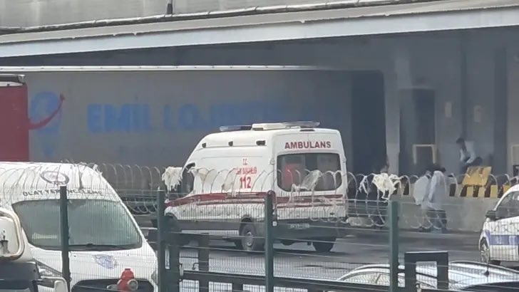ToplumsalMht220's tweet photo. Ucuz Ölümler Ülkesi

İstanbul Esenyurt’ta BİM deposunda tır şoförü olarak çalışan 61 yaşındaki Resul Polat, geri manevra yapan tır ile park hâlindeki araç arasında sıkışarak hayatını kaybetti.