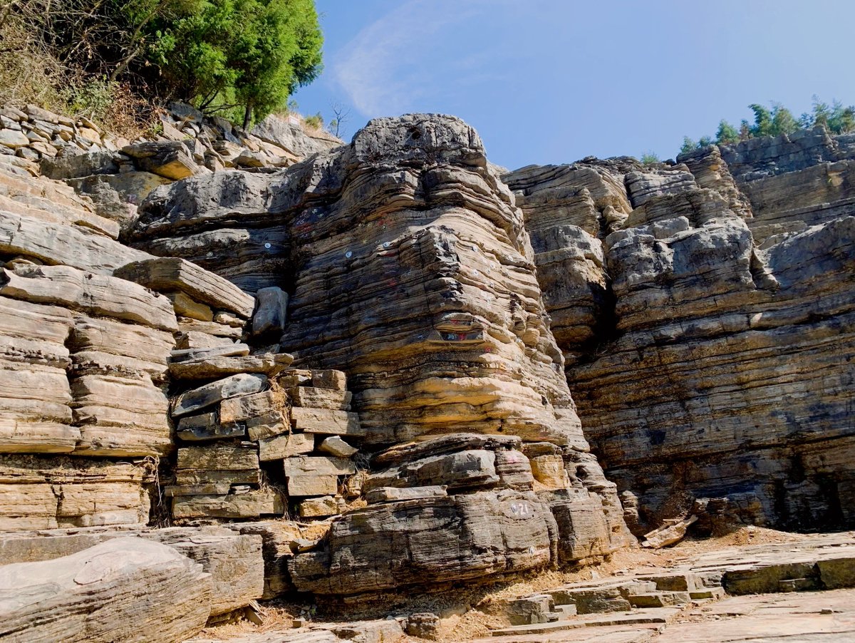 zyxqx6743's tweet photo. In the mysterious Duanlao Terrace Carboniferous period, ancient fossils whisper the secrets of Earth's past. https://t.co/xMKt7UzsQf