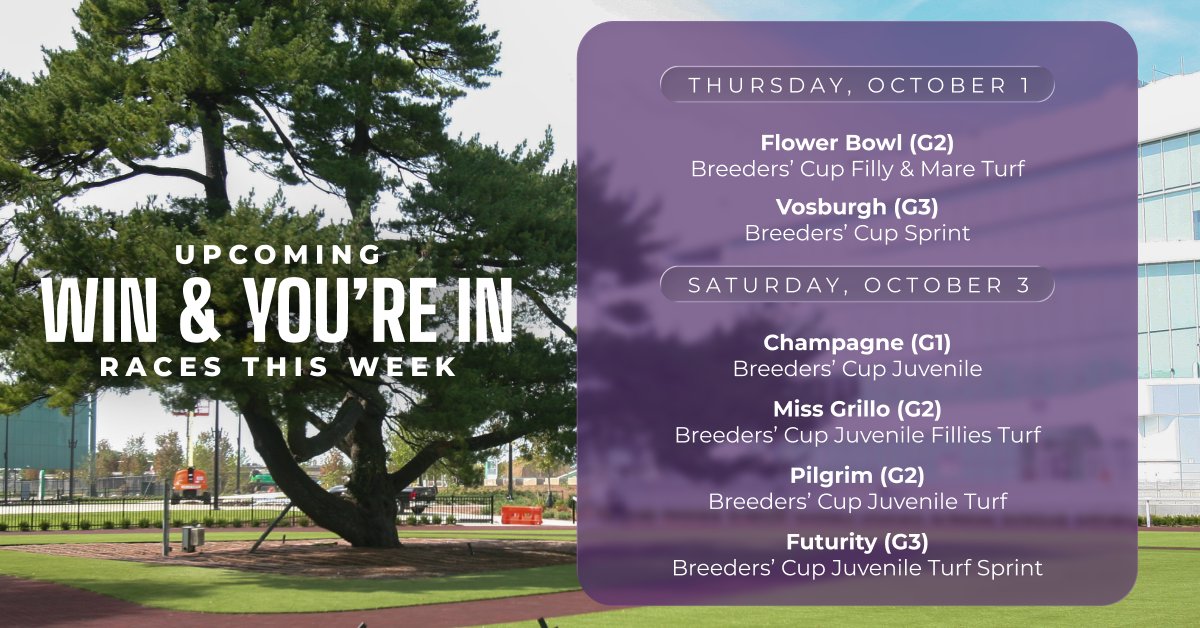 TheNYRA's tweet photo. The road to the Breeders’ Cup runs through @BelmontPark1905! 🏇

We have six “Win &amp; You’re In” races this weekend, with automatic @BreedersCup spots on the line.

 🎟️ https://t.co/QUrY5OyKdB https://t.co/VVSMAEQu0N