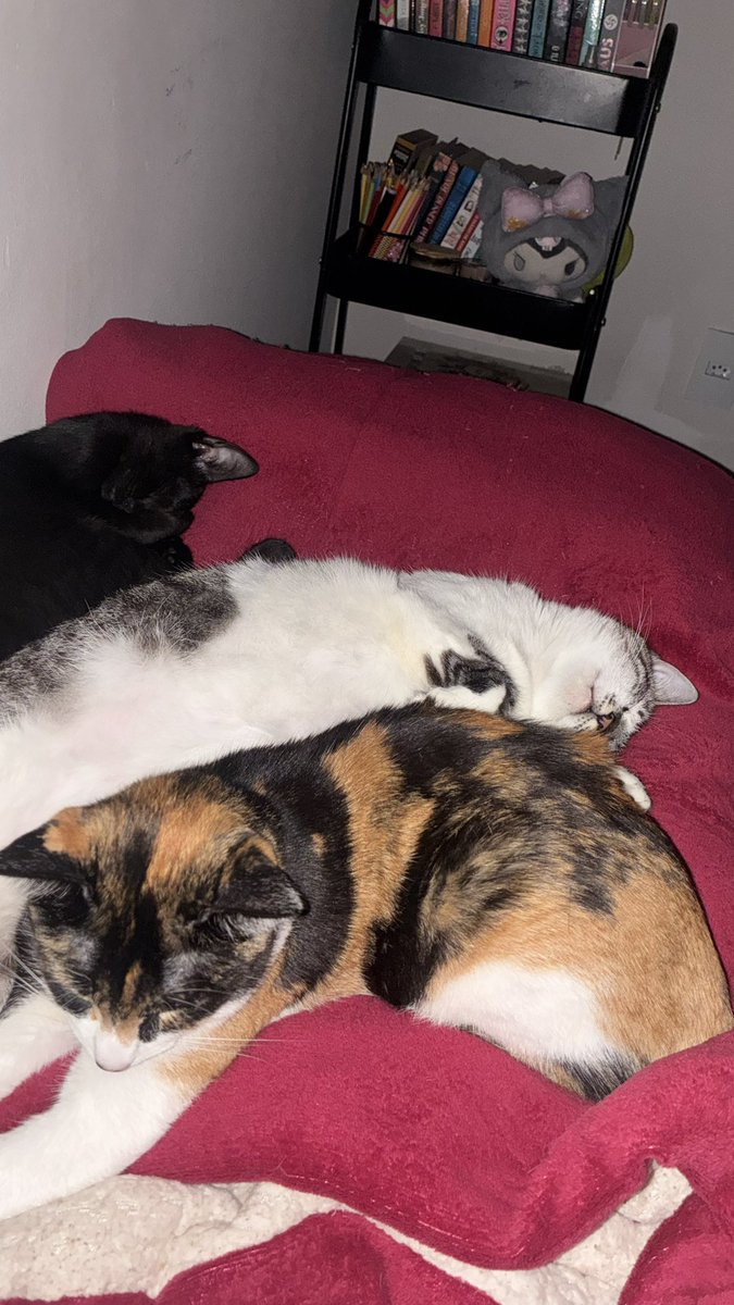 fefaqr's tweet photo. amo tanto minhas meninas 🤍 https://t.co/hNkzETbZVe