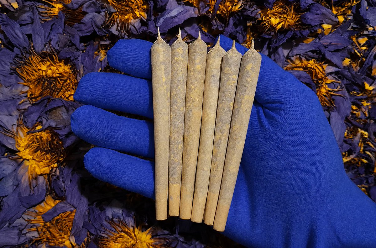 LiveNutrition17's tweet photo. #10 King Size Serenity Puffs – 100% Thailand Blue Lotus Flower Pre-Rolls (Nymphaea caerulea) | Tobacco &amp; Nicotine Free | Experience Calmness &amp; Tranquillity

https://t.co/n987VChSLp https://t.co/bIzh3Tavat