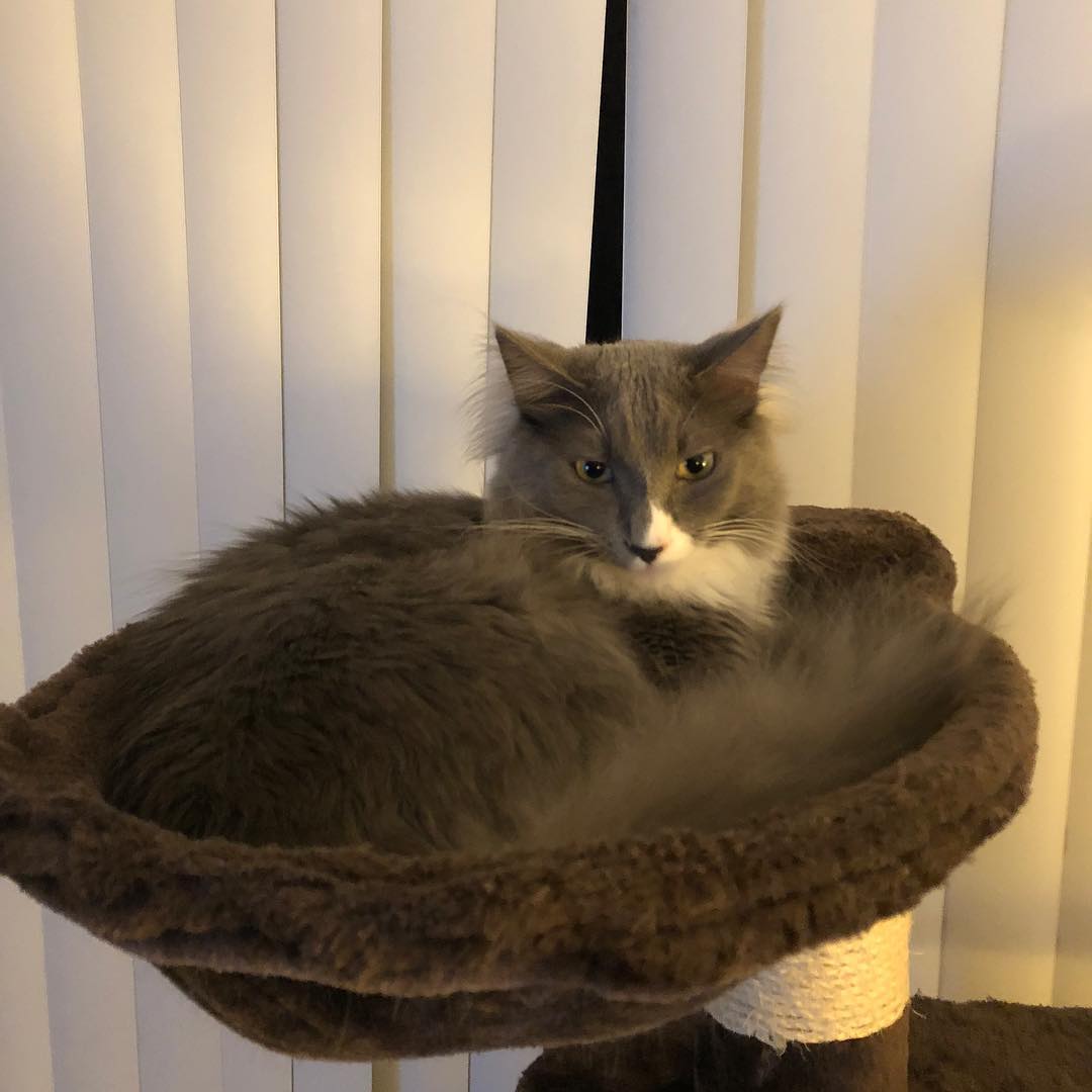 nandomodel's tweet photo. Photo by Rachel Fazio on July 05, 2018. https://t.co/QLSFcE1I6W