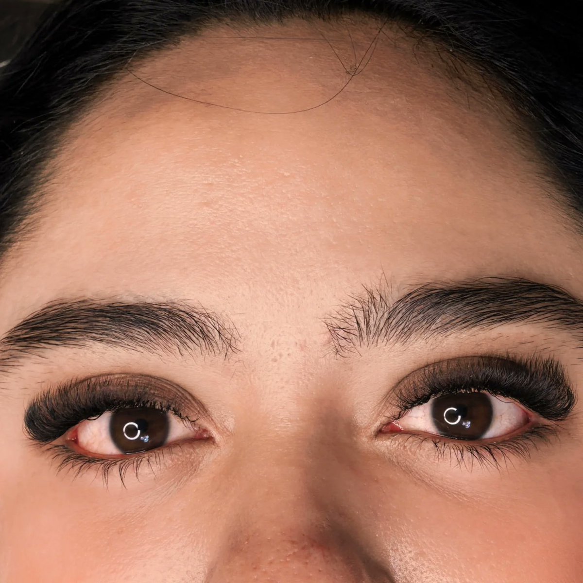 Jonathan441's tweet photo. Hybrid Lashes

Appointments available 
Book via DM or WhatsApp: 8714306755 
Located in Torreón Jardín https://t.co/hrtbb7OUPJ