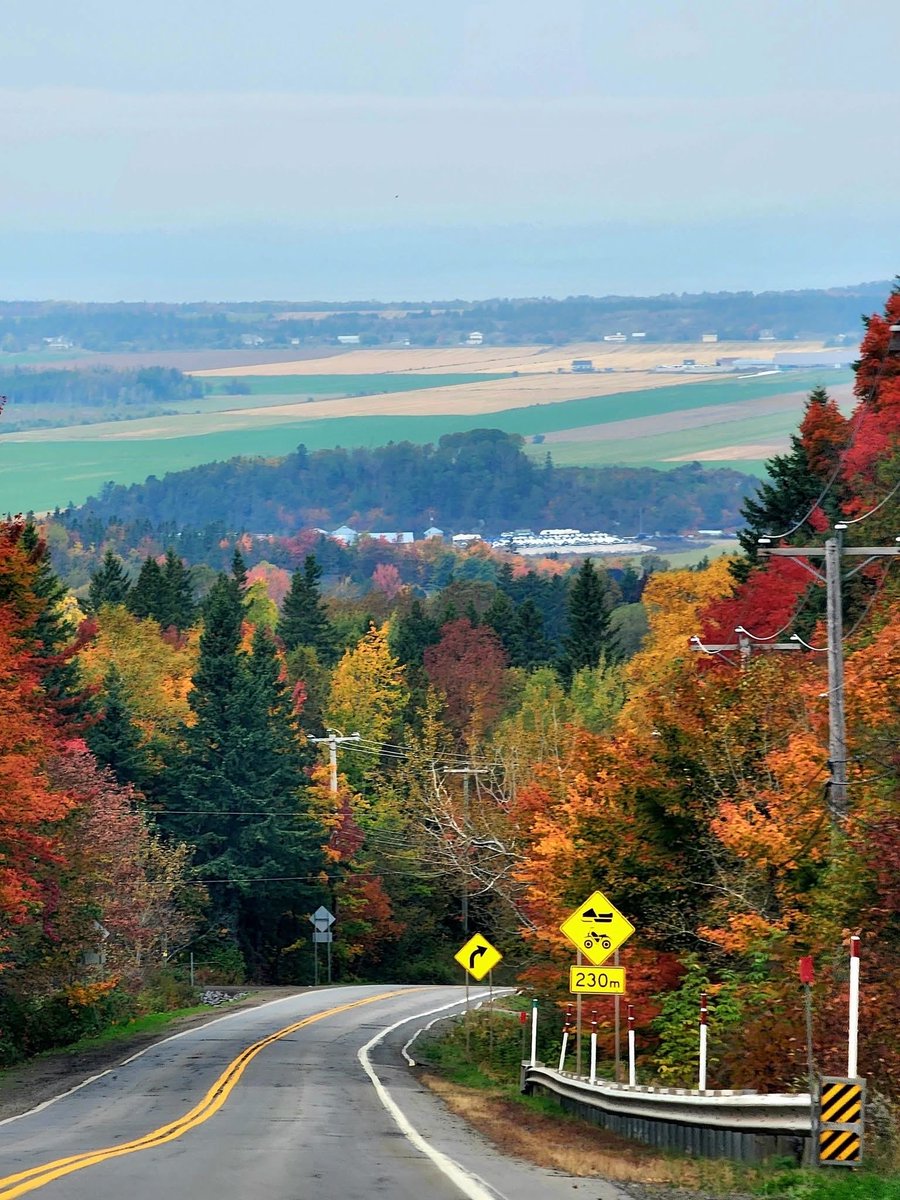 yvan_theriault's tweet photo. Saint-Philippe-de-Néri, le 30 septembre 2026. 

📷Pudjiwati Koatma https://t.co/GfQGIwNtNZ