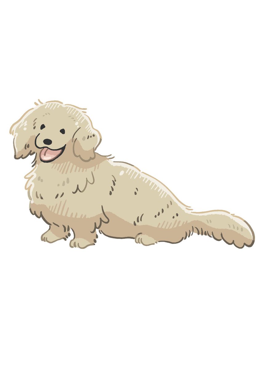 chikchikuni's tweet photo. フンド。

#犬 #ダックスフンド #イラスト https://t.co/akCOXFDYFz