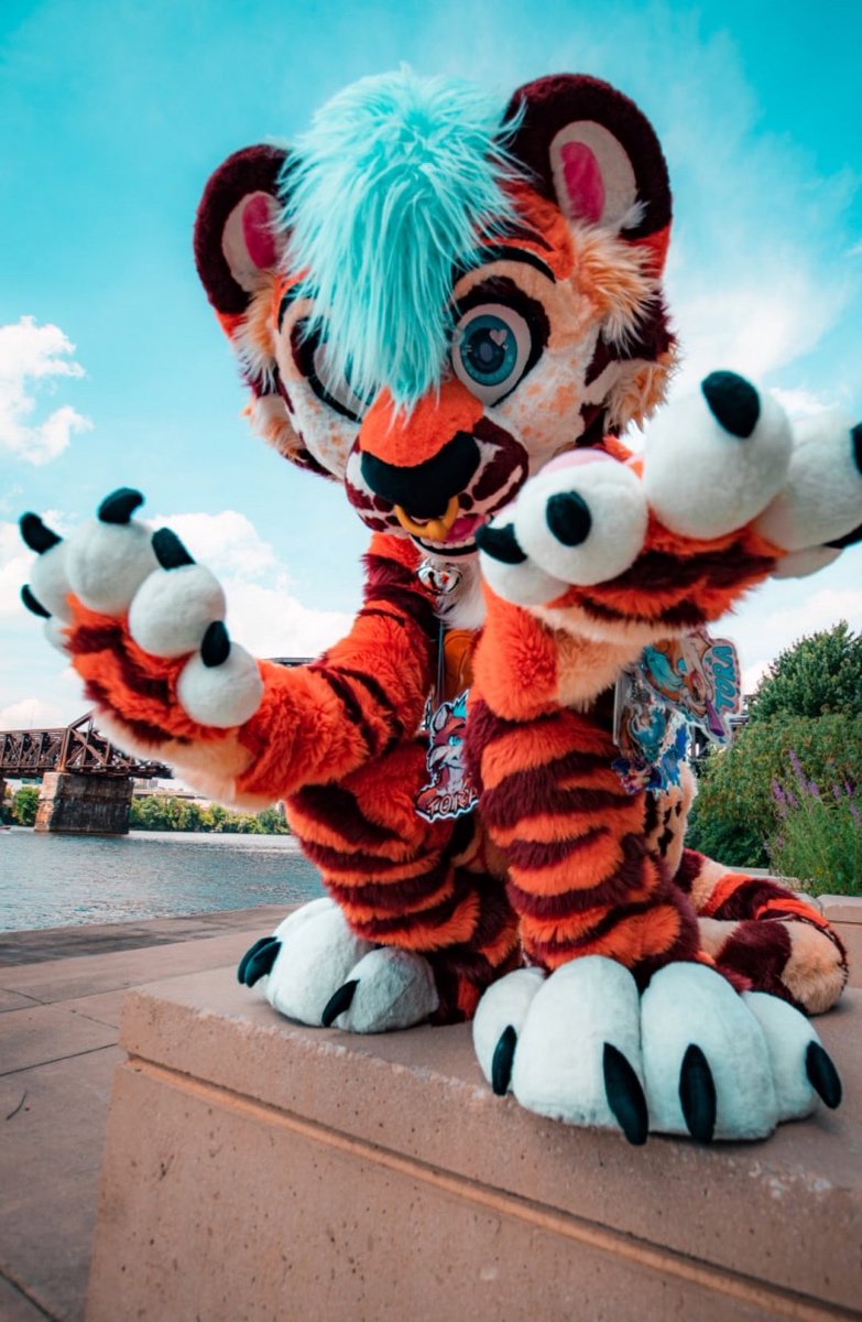 tigermaws's tweet photo. Wake up bro its tigtober!🐅 https://t.co/PFq2fYXTh1