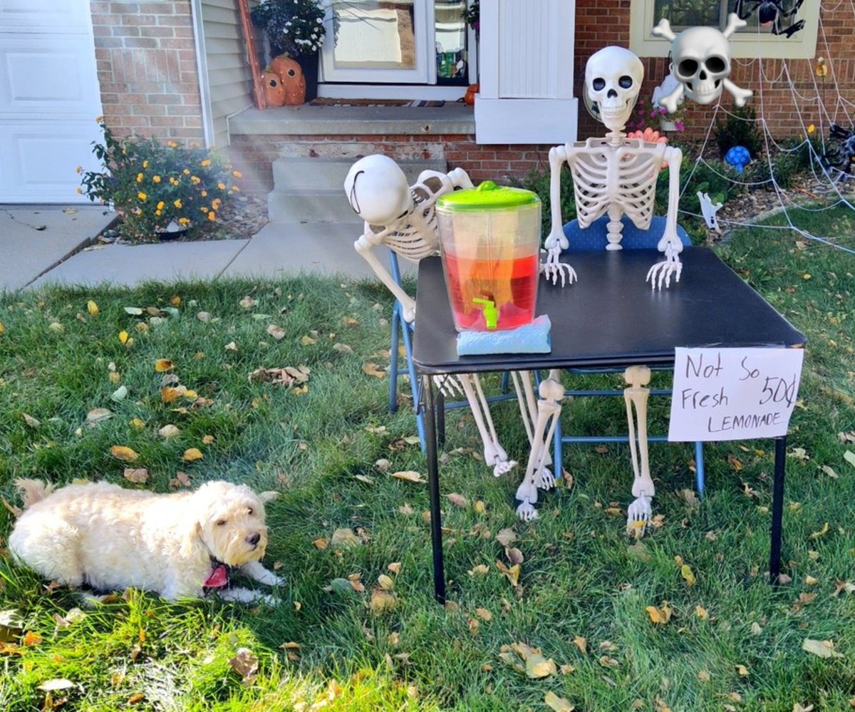 ArieDoodle's tweet photo. Would you like some "Not so fresh lemonade" from the skeleton stand to get your week started off? π€’ππ¦΄π
#ThrowbackThursday #dogs #Halloween #AriesWorld https://t.co/c5gxoPjkeh