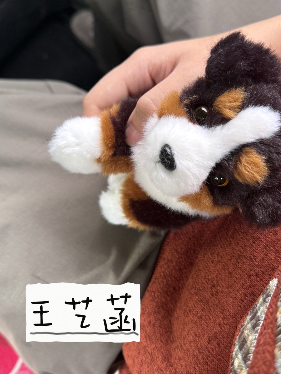 J0xwnf's tweet photo. https://t.co/US7knQyIju