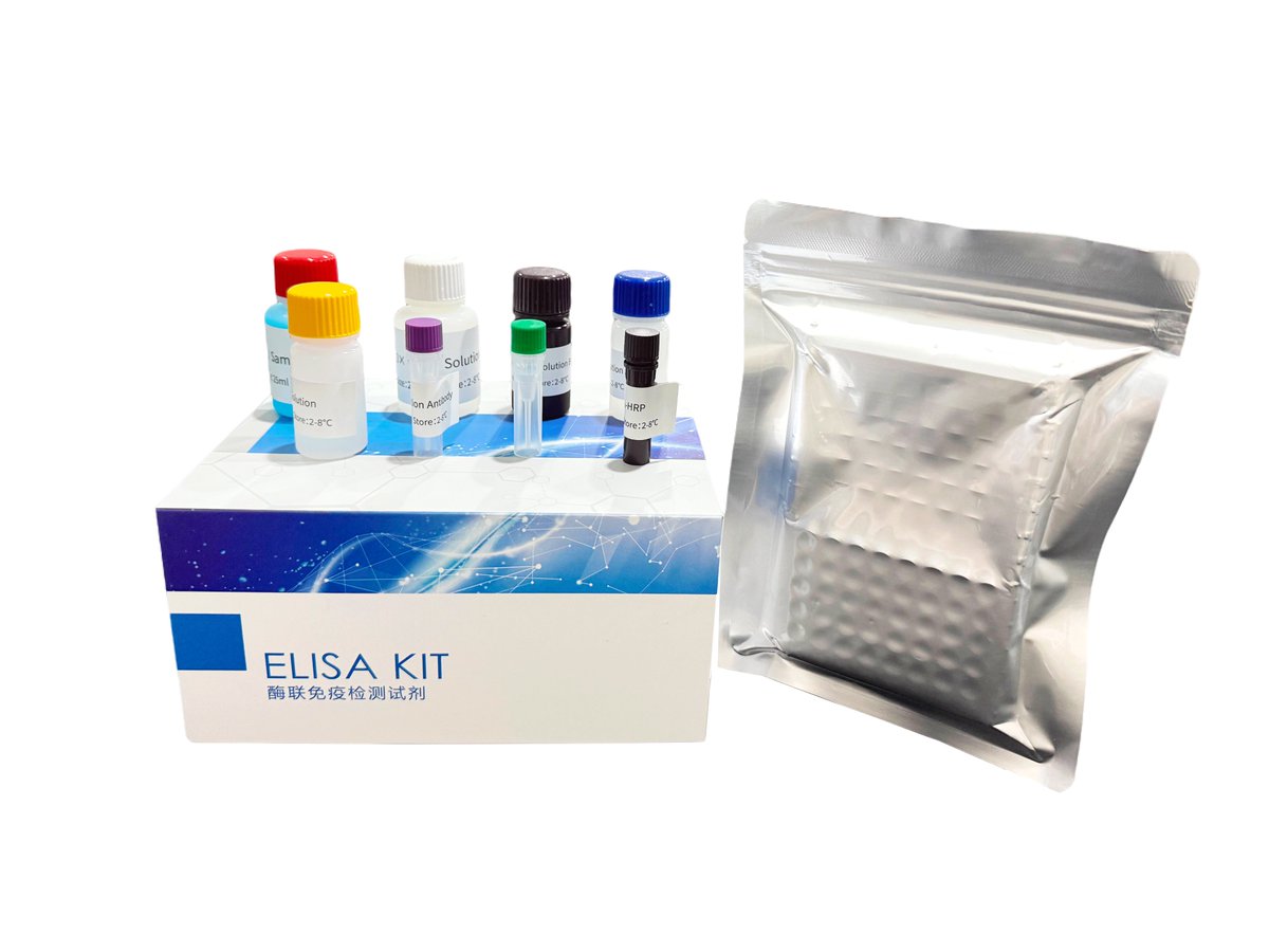 jul19082's tweet photo. We prep enzymes to reveal molecular secrets for cutting-edge biotech research! https://t.co/Kc64D8TtVR