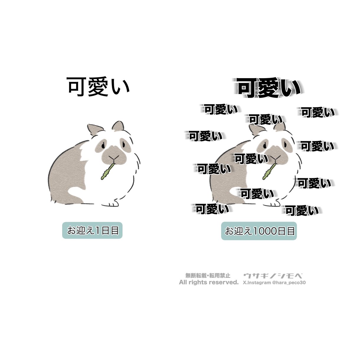 hara_peco30's tweet photo. ←うさぎお迎え1日目
うさぎお迎え1000日目→ https://t.co/NoOKuFsjnF
