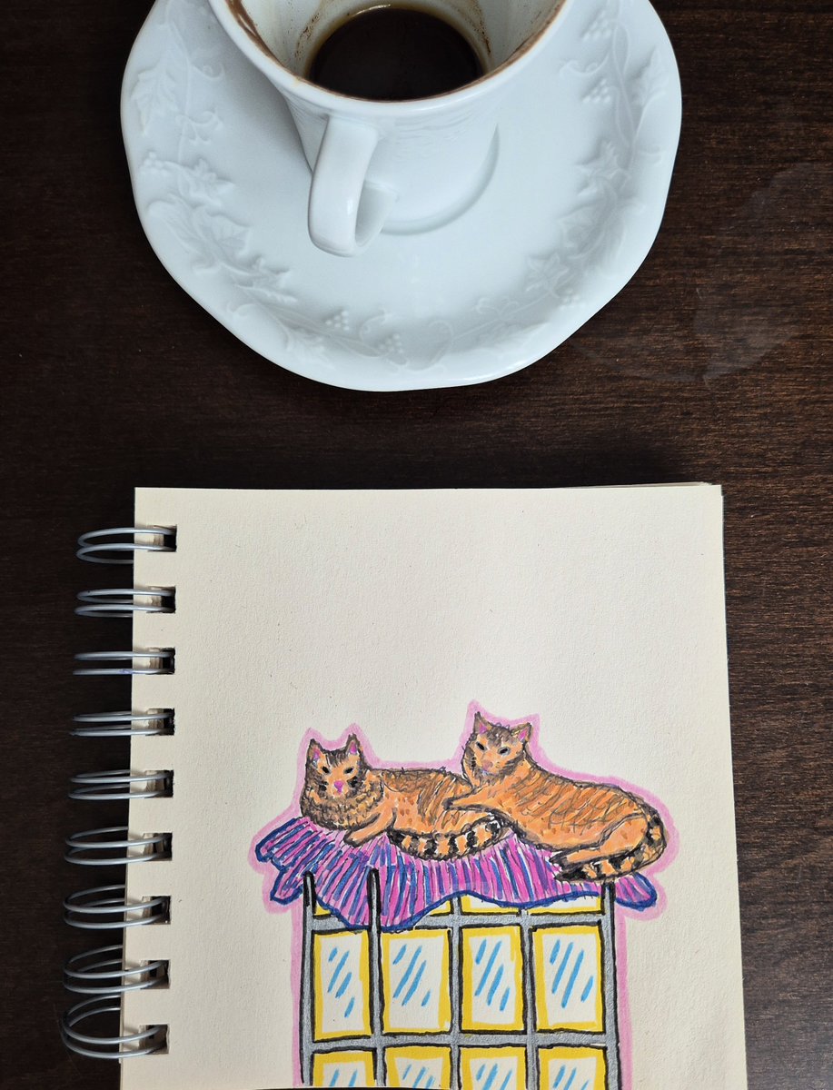 bigkite444's tweet photo. kedi olduklarına dair rivayetler var fakat nerenin kedisi oldukları bilinmemektedir..
kahve gününüz kutlu olsun ☕️ https://t.co/bhGkEBDQiw