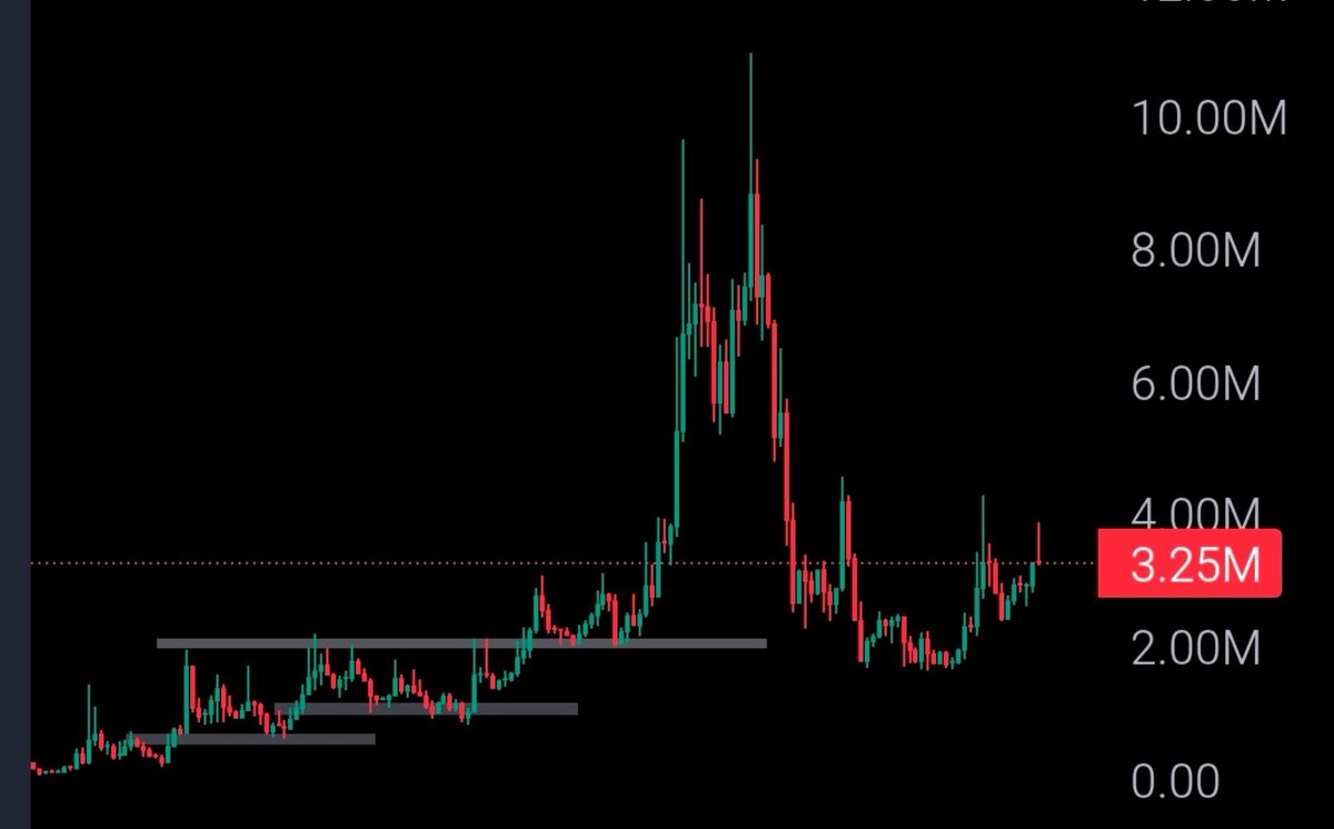 itsk0la's tweet photo. after multiple endorsement from maye musk, most of which are very recent, $CALI played out as expected. 

holders growing increasingly 
volume gaining more motion 

this is discount ATP. https://t.co/8uZVEmLh97