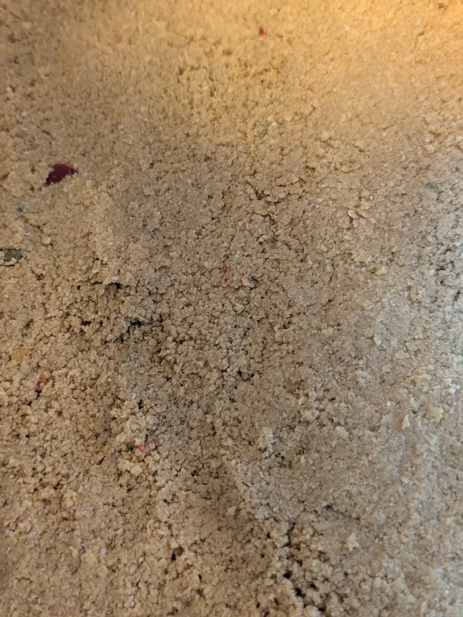 ukogitogohan's tweet photo. 糠床を手に入れた
説明書を読むと混ぜ過ぎ注意とのことなので程々に可愛がりたいと思います https://t.co/1ExxKkEyhH