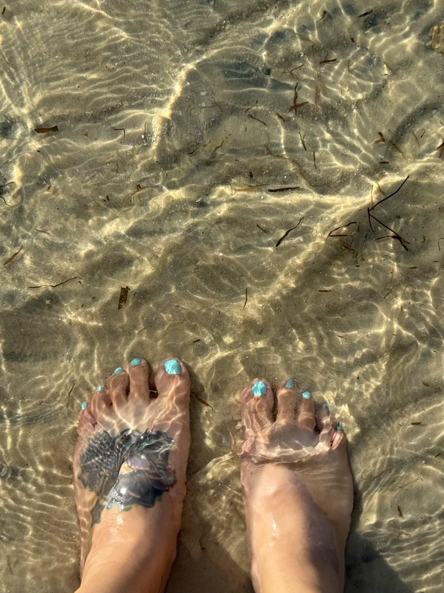 SolefullYourz's tweet photo. Refreshing dip at the beach
#beach #toesday #water
#FeetPictures https://t.co/exLGaNcVxK