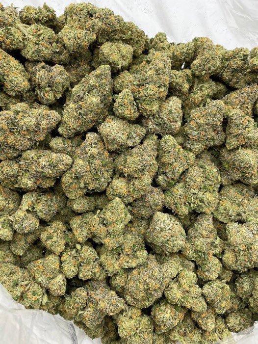 Darius_buds420's tweet photo. Frozen Apple Pie Exotic indoor ✈️📦🔥💯

$800

☎️ Order on https://t.co/hInMyNg33V

Whatsapp +1 (518)932-6815
#weed #weedstore #plug #zaza #drugstm #canna https://t.co/fFjZhxOWwO