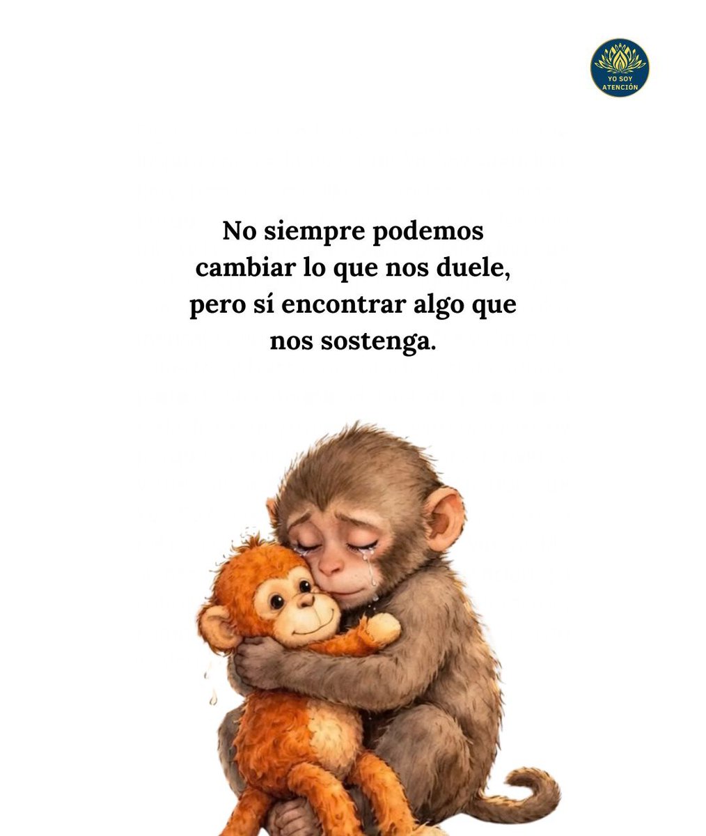 AtencionYoSoy's tweet photo. ❤️‍🩹 https://t.co/dazcNbHSFA