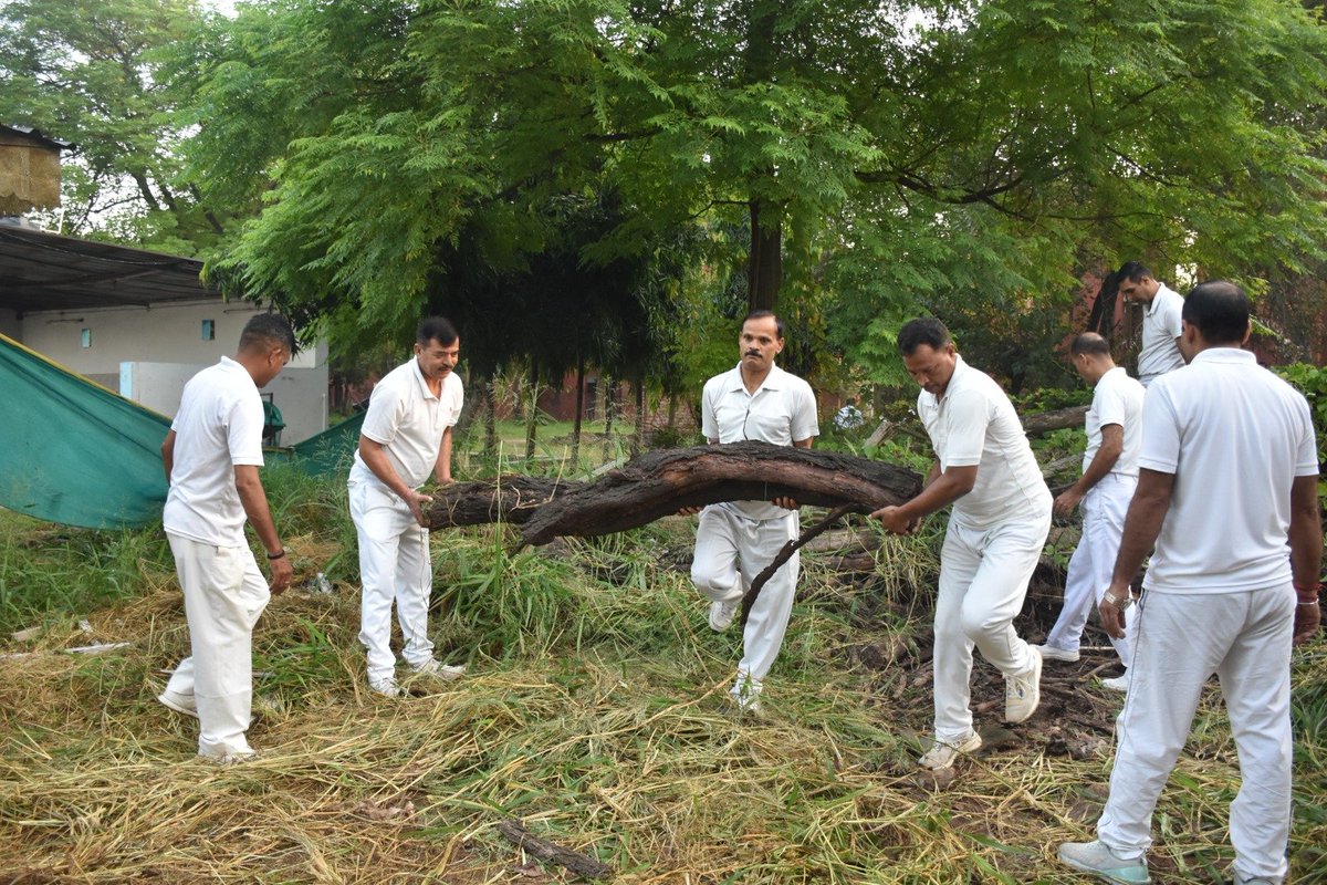 51Crpf's tweet photo. #SwachhataHiSeva 2026!
51Bn, 5SIG, DIGP Chd &amp; NWS @crpfindia joined hands for a mega cleanliness drive under #EkDinEkGhantaEkSaath! 
Shramdaan to create cleaner &amp; greener area!
@ignwscrpf
#SwachhBharat #SHS2026 #CleanIndia @SwachhBharatGov @SwachhBharat @MoHUA_India @MoJSDDWS https://t.co/6cwueaMB5H