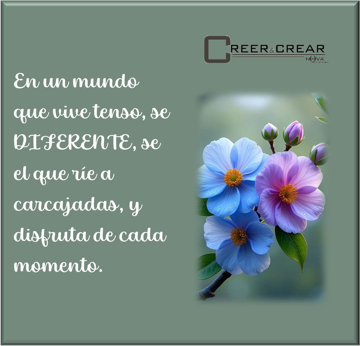 nchernandez1's tweet photo. #creerycrear #crecer #aprender #diferente #mundo #tension #disfrutar https://t.co/feWX3O6LwO