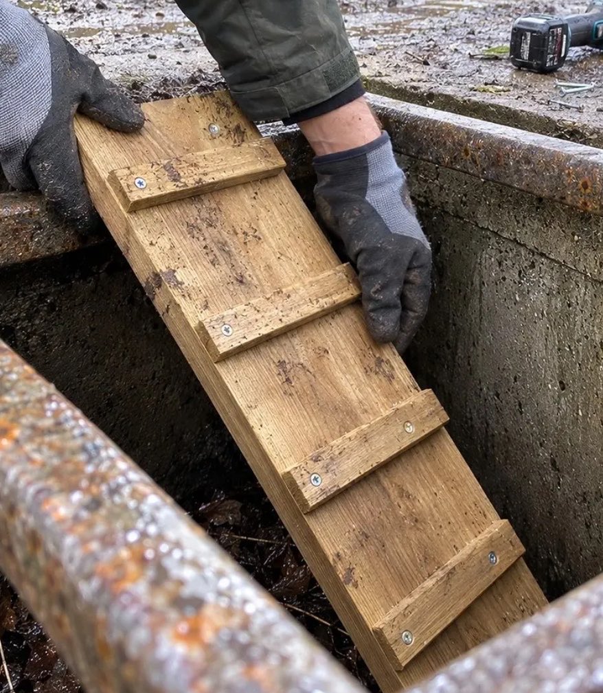 earthcurated's tweet photo. 🇬🇧: Some cattle grids across England have been fitted with tiny escape ramps to help hedgehogs and other small animals that fall through the bars climb back out. https://t.co/aKk1WuC1aV