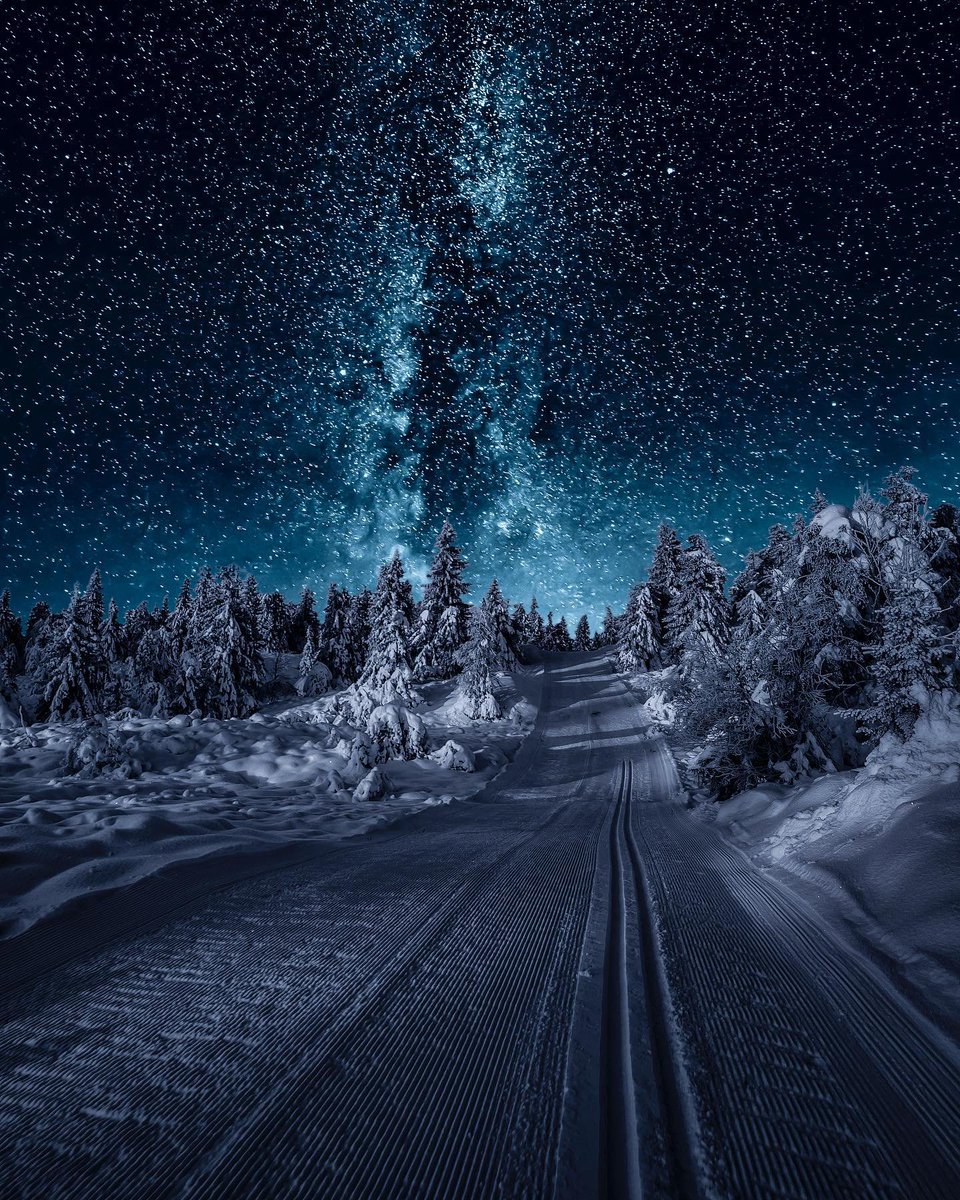 astrooalert's tweet photo. Starry Night at Gausdal, Norway ✨ https://t.co/B2c9naWF6N