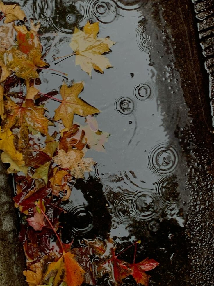 dondeer0019's tweet photo. Gooood morning🍂
Pics from Pinterest https://t.co/eg5lfx1Tsr