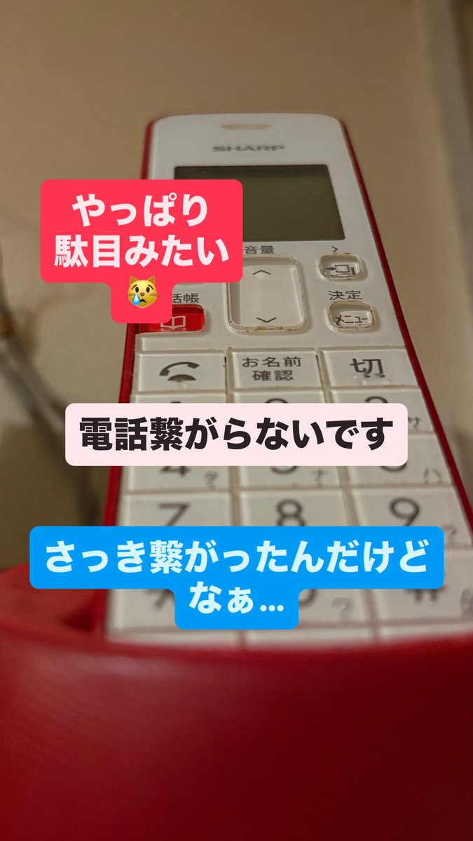 hirokiueeda's tweet photo. やっぱり駄目でした😹
電話繋がらないです。
さっき繋がったんだけどなぁ😿😿 https://t.co/aym8tScq2m