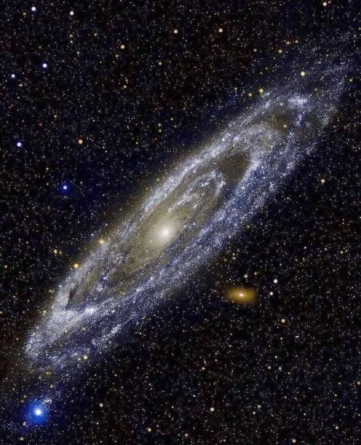 astrooalert's tweet photo. The Andromeda Galaxy! 🌌 https://t.co/faRelzoLuE