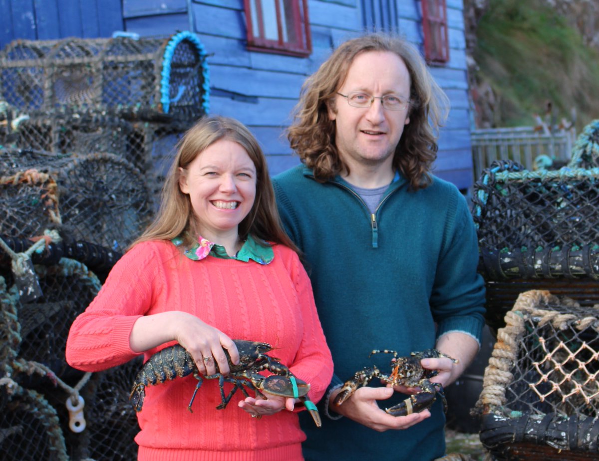 ToddFishTech's tweet photo. Since 1998 we've been designing and manufacturing shellfish systems from our base in Scotland.
Lobster holding systems, shellfish purification, bespoke marine aquaria and, above all, long-term customer support.
Read our story: https://t.co/J3xgqAxvd5
#Shellfish #Seafood https://t.co/2fGPev1RDu