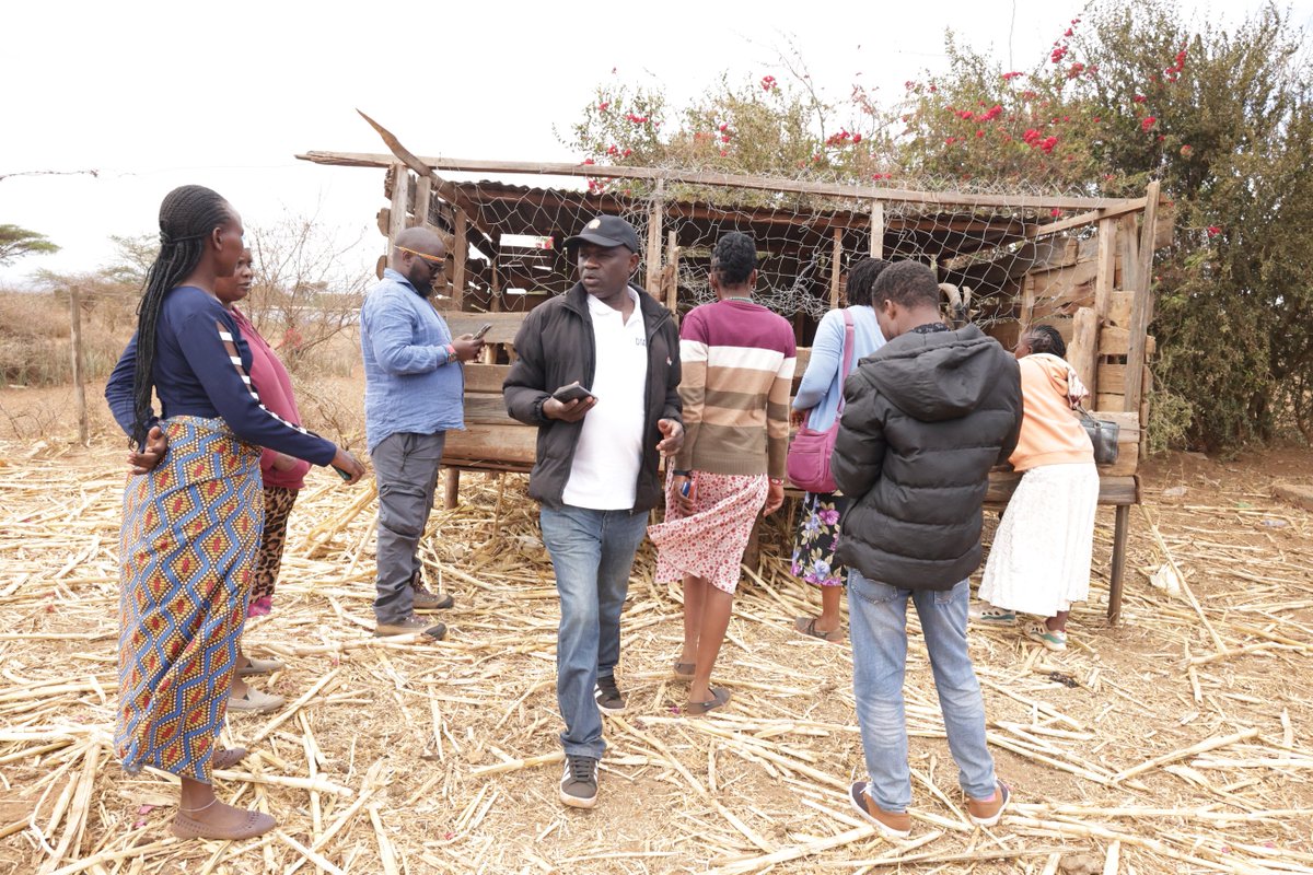 CAREinKenya's tweet photo. In Kajiado South, communities are turning restoration into opportunity.

Across Kuku, Kimana and Entonet-Lenkism Wards, women and youth are restoring degraded land through tree planting, terracing, earth bunds and rangeland restoration while building sustainable livelihoods.

Women's groups are also raising dairy goats, improving household incomes while reducing pressure on natural resources.

Through #SowingChange, @CAREinKenya and @WWF_Kenya are supporting community-led restoration and economic transformation. 

#CAREAlwaysThere #NatureBasedSolutions #ClimateResilience
