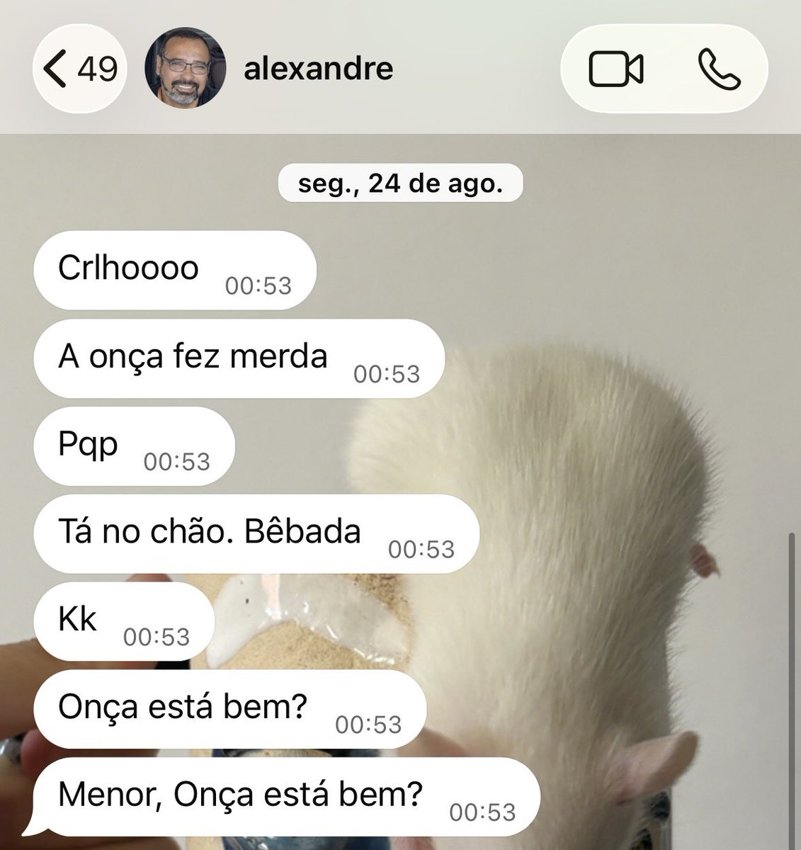 hojeeumorri's tweet photo. padrinho de 60 anos core https://t.co/I4vMiT91o6