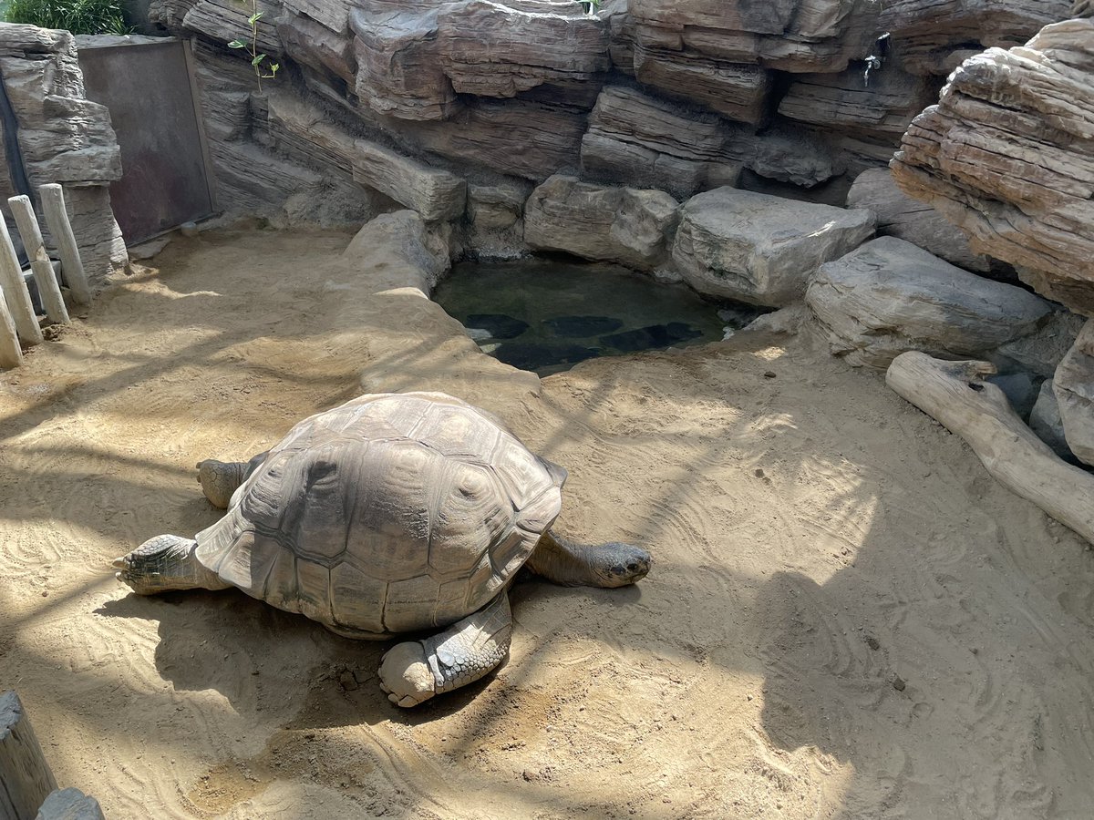 hina915's tweet photo. 10/1 #3good 
①子たちと上野動物園へ行ってきた🐘晴れてよかった☀️
②シチュー作った✨美味しかった😋
③㊗️結婚11周年突入〜🎉（なんとかもってます…） https://t.co/nVCiYdZW4W