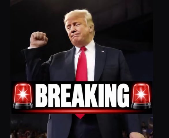 0DonaldTrumpJrQ's tweet photo. 🚨SHOCKING:

CNN reports that 75% of Americans say President Donald Trump should be impeached, prosecuted, and imprisoned.

Do you believe this poll?

YES or NO? https://t.co/aV7E1Lk366
