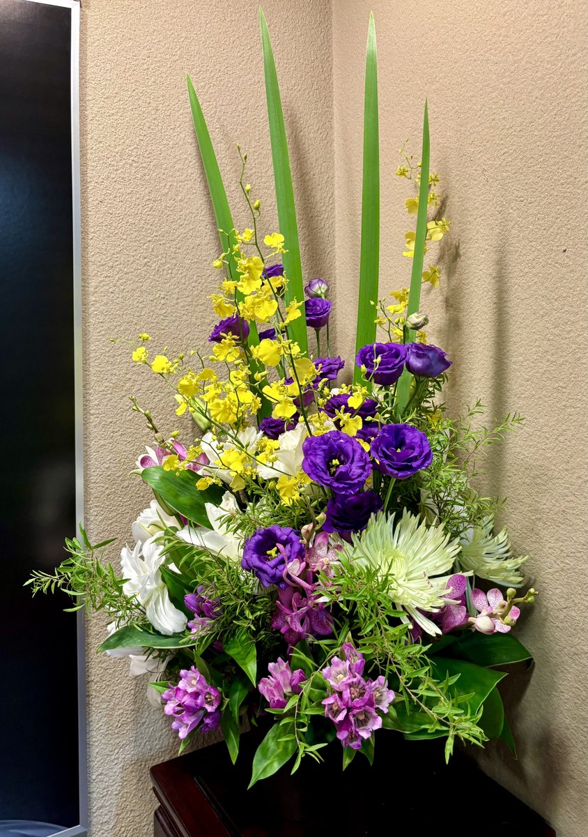 momo_zake's tweet photo. 2026/10/1@鈴本演芸場 夜 三代目 蜃気楼龍玉 追悼興行 (¥3000かわら版)

｢たらちね｣ぼんぼり(白酒門下)
｢子ほめ｣白浪
勝丸・丸果
｢夏泥｣一之輔
｢堀の内｣ぎん志
ニックス
｢目黒のさんま｣たけ平
｢ずっこけ｣雲助
〜
D広和
｢道灌｣馬石
小菊
｢木乃伊取り｣白酒

:龍玉師匠の追悼興行が始まりました。色物さん含む出演者からの思い出話と、2階に展示されている橘蓮ニさん撮影の写真(必見!)で偲ぶ会でした。明るく楽しい噺がずらり。木乃伊取り清蔵さんの 楽しいなァ！で幸せにお開きです。