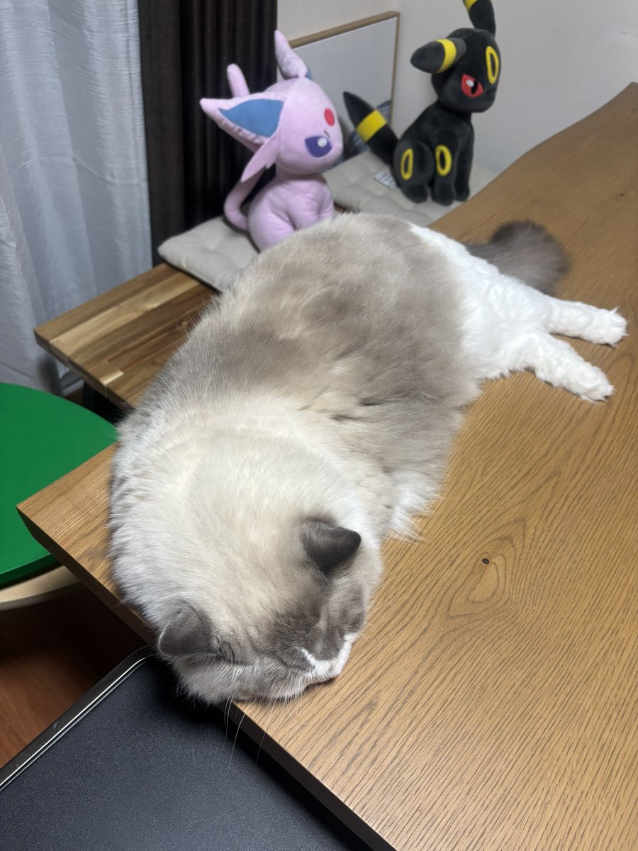 mtrdwsy's tweet photo. フライドチキン https://t.co/SggPPvMymx