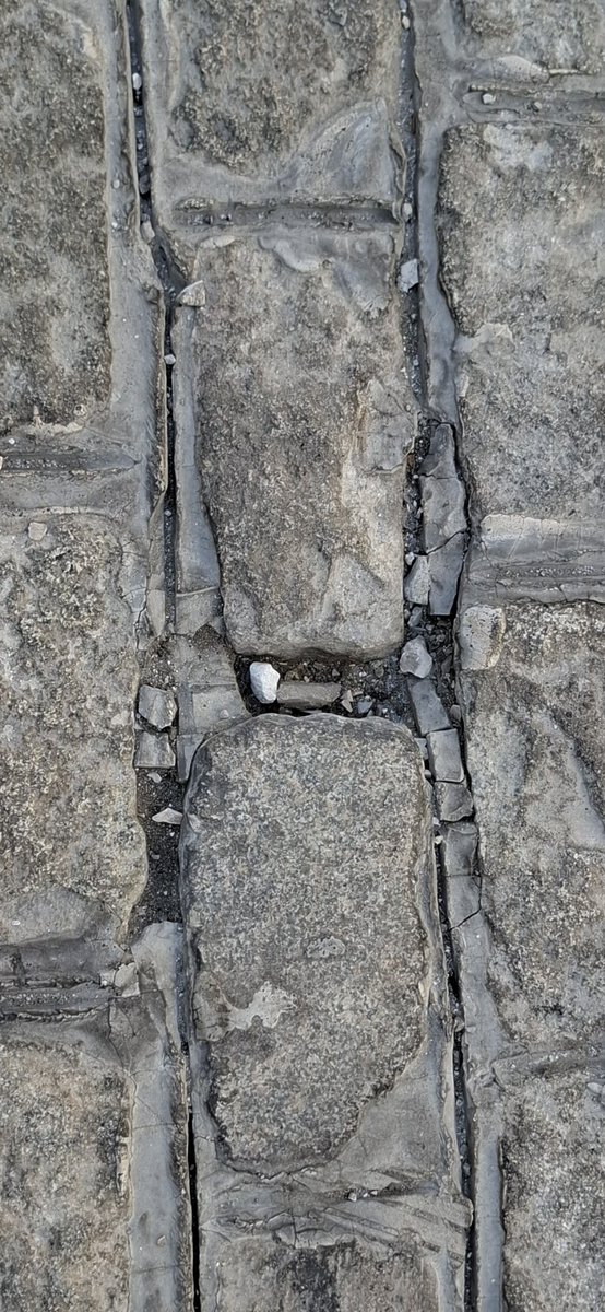 DavidLp32705032's tweet photo. CALLE IMAGEN, recién abierta al tráfico rodado, IMAGEN DEL GOBIERNO DE JOSÉ LUIS SANZ. Llagas de mortero desaparecidas en 15 días y adoquines ya casi sueltos. 8,3 millones de euros. La INUTILIDAD y lo q no decimos pero está en la cabeza de todos... En mayo de 2027 @SVQ_Se_Levanta https://t.co/JjqivInl8h