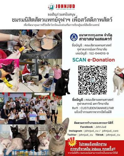 jenrob_jen's tweet photo. - รพจิตเวช สวนปรุง (เรื่องสุขภาพใจ)
- กองทุนฌาปนกิจอจใหญ่ จุฬา (การเปลี่ยนผ่าน)
- สัตวแพทย์ จุฬา (รบกวนส่งสลีปให้น้อง ๆ นะครับ)
- ราชวิถี (ทำกับเพื่อนมนุษย์ด้วยกัน)

เลือกสี่ที่นี้เพราะเงินมันไปใช้ประโยชน์ได้จริง เลยเอามาแชร์ต่อ อนุโมทนาบุญกับทุกคนด้วยนะครับ 🥹 https://t.co/Tm3QSsYp0V