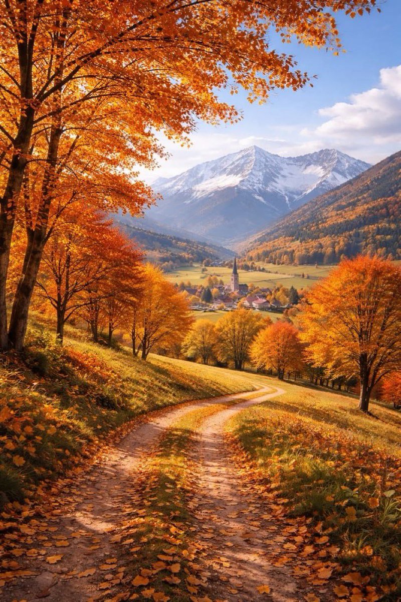 ajoseval26's tweet photo. @Leonor08159041 🧡🧡🧡 https://t.co/lA6QUrOGjP