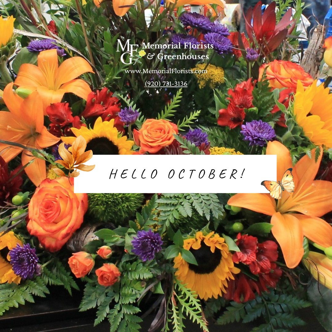 MemorialFlorist's tweet photo. π Welcome October with a burst of vibrant colors! Celebrate everything beauti-fall with our stunning fall flowers and plants. π΅οΈπ»π
β¨ https://t.co/MUz5V0GfGm
#OctoberBlooms #AutumnArrangements #FallBouquets #FloralArt #MemorialFlorists #AppletonFreshFlowers #MFG #HomeDecor https://t.co/dnA5jQsWPd
